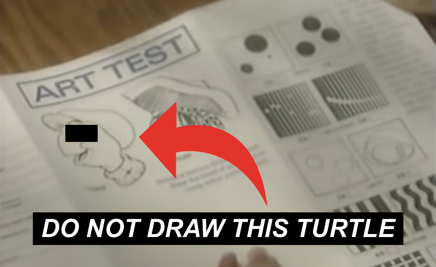 Please, Do Not Draw This Turtle